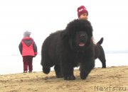 Превью фото № 245424