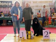 Превью фото № 245435