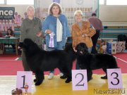 Превью фото № 245437