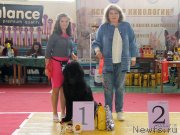 Превью фото № 245441