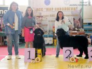 Превью фото № 245442