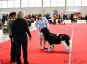 Превью фото № 245455