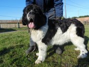 Превью фото № 245473