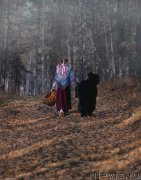 Превью фото № 245498