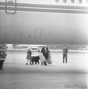 Превью фото № 245500