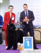 Превью фото № 245504