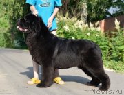 Превью фото № 245549