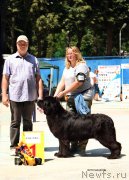 Превью фото № 245554