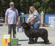 Превью фото № 245561