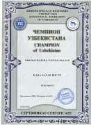 Превью фото № 245564