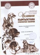 Превью фото № 245565