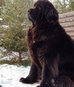 Превью фото № 245608