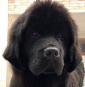 Превью фото № 245659