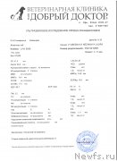 Превью фото № 245671