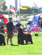 Превью фото № 245696