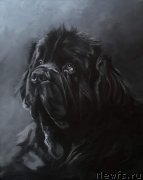 Превью фото № 245703