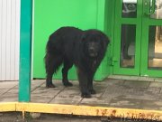 Превью фото № 245709