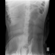 Превью фото № 245743