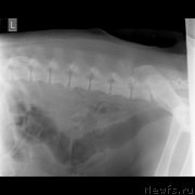 Превью фото № 245744