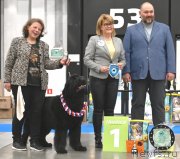 Превью фото № 245770