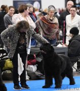 Превью фото № 245772