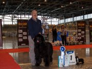 Превью фото № 245818