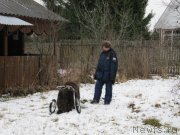 Превью фото № 245847