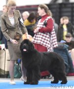 Превью фото № 245861