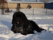 Превью фото № 245912