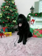 Превью фото № 245937