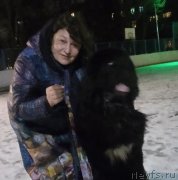 Превью фото № 245939