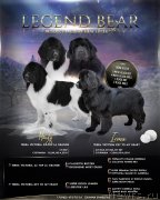 Превью фото № 245960