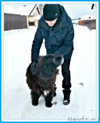 Превью фото № 245964