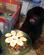 Превью фото № 245974