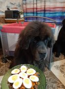 Превью фото № 245976