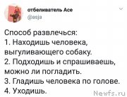 Превью фото № 245977