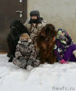 Превью фото № 245984