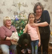 Превью фото № 245993