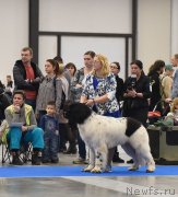 Превью фото № 246079