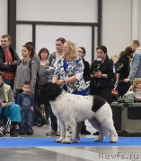 Превью фото № 246080