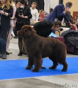 Превью фото № 246082