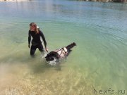 Превью фото № 246109