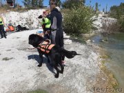 Превью фото № 246110