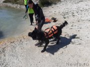 Превью фото № 246119