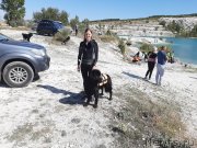 Превью фото № 246137