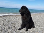 Превью фото № 246156