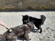 Превью фото № 246166