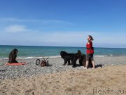 Превью фото № 246170