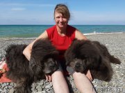 Превью фото № 246173