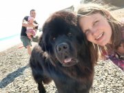 Превью фото № 246175